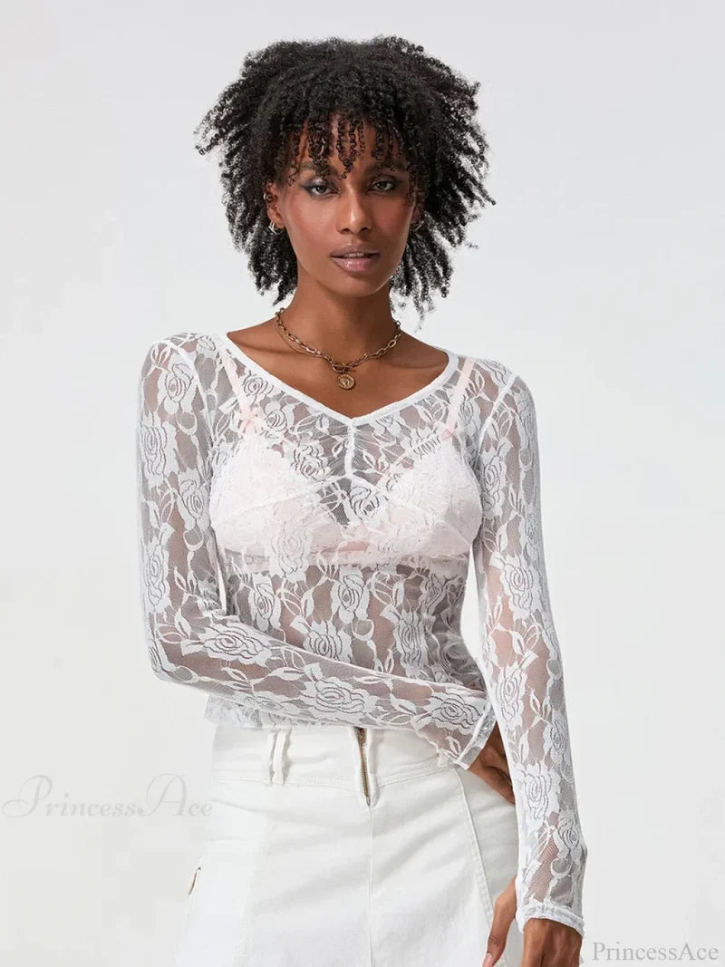 Sheer Lace Long Sleeve V-neck Mesh Crop T-shirt croptop-250126
