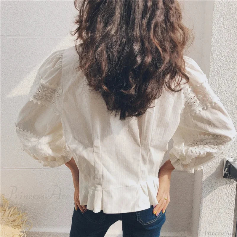 Vintage Floral Embroidery Cotton Linen Lantern Sleeve Boho Blouse bohoblouse-250126