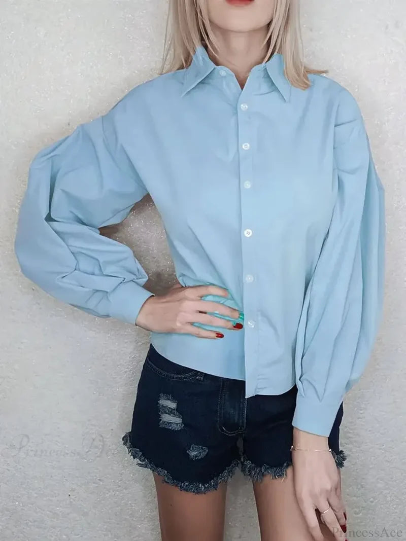 Lantern Sleeve Button Collar Blouse Light Blue / S blouse-250223