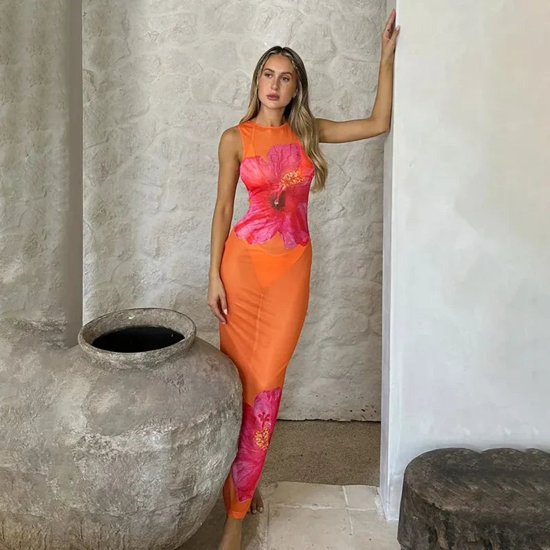 Mesh Perspective Sexy Vacation Dress vacationdress-250223