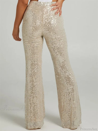 Sequined High Waist Slim Fit Flare Club Pant pant-250223